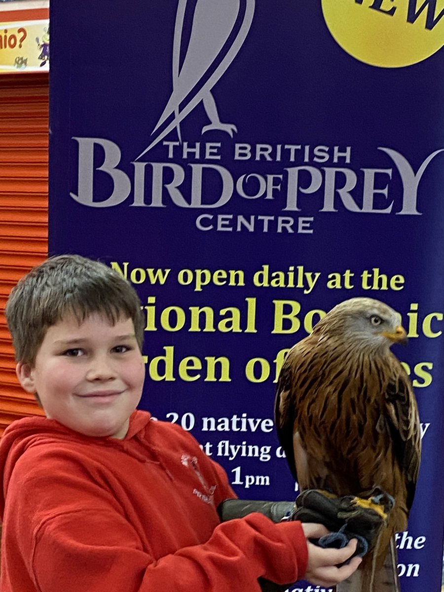 BritishBirdsofPrey tweet media