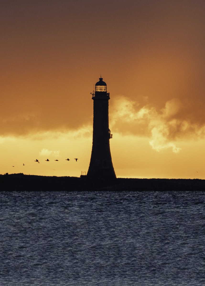 What a way to kick off the week with these stunning pre sunrise colours this morning. Photo taken from Greenore looking towards Haulbowline Lighthouse as a flock of birds flew by. 
#carlingfordlough #haulbowlinelighthouse #presunrise #natureatwork