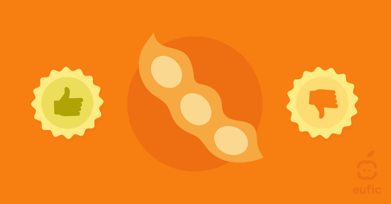 EUFIC's tweet photo. Is #soy good or bad for you? 🫛🤔

Despite its many nutrients, this question has sparked debate over its potential negative effects, especially isoflavones acting like estrogen.

📰🔍This article explores the latest evidence on health outcomes.