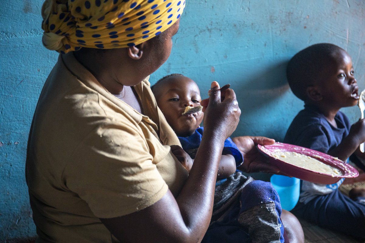 The return of #ElNiño is expected to intensify the impact of drought in southern Africa. In #Zimbabwe, families like Sarudzai's receive monthly WFP cash assistance so they can continue accessing nutritious foods and cushion the impact against shocks and stressors like El Niño.…