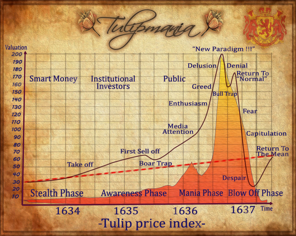 1. You analyze the Tulipmania bubble of the 1630s & observe a pattern reminiscent of recent behaviors. Initially, seasoned investors, including professionals using the stock market for diversification, enter the market cautiously, benefiting from stable returns and dividends.