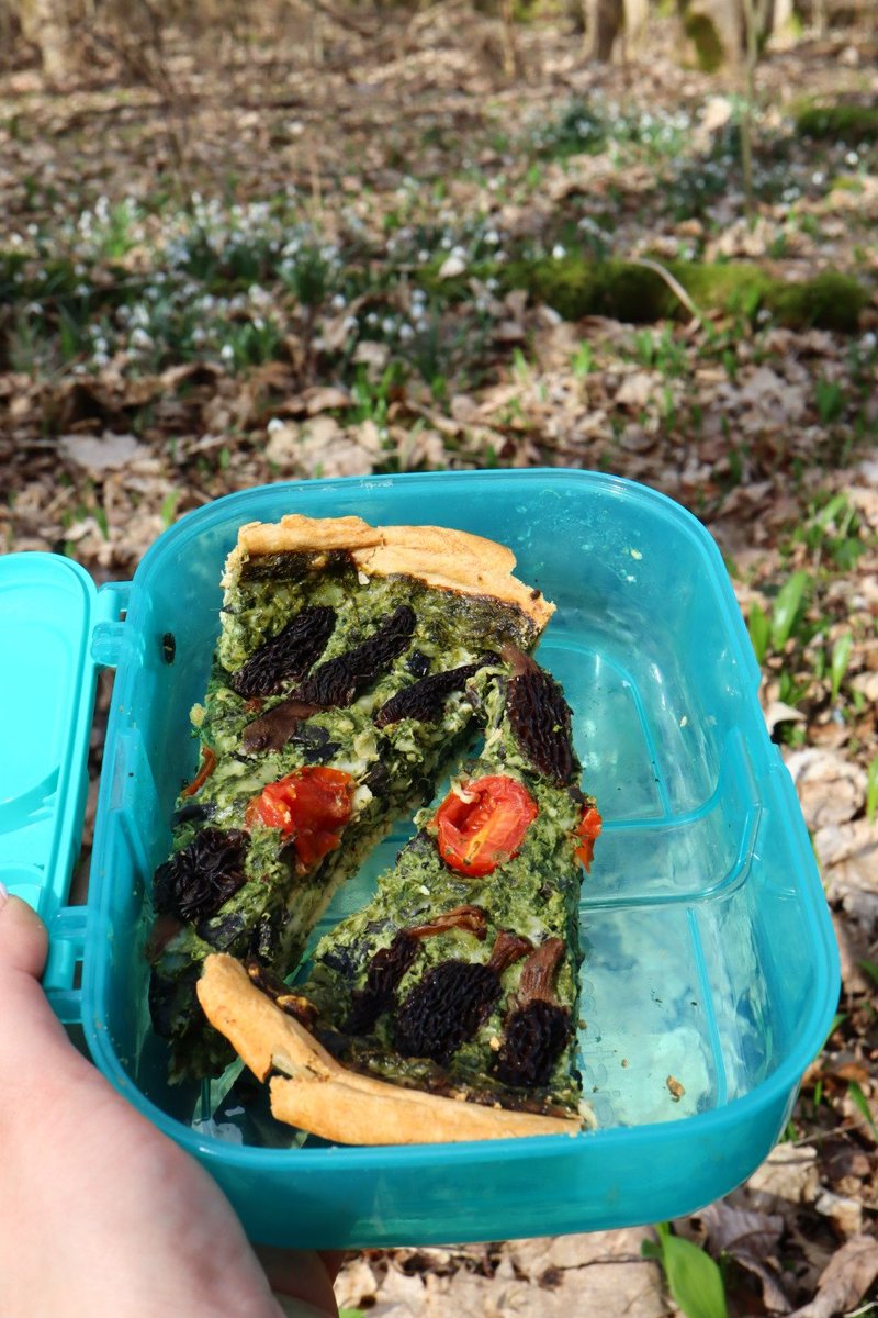 Magdale45152669's tweet image. Szum ciepłego wiatru wśród drzew, świergolenie ptaków, zapach czosnku niedźwiedziego unoszący się w powietrzu, dywany przebiśniegów, przylaszczek, pierwsze zawilce i ta błoga cisza 💚
Tak wygląda szczęście, Drodzy Państwo 💚