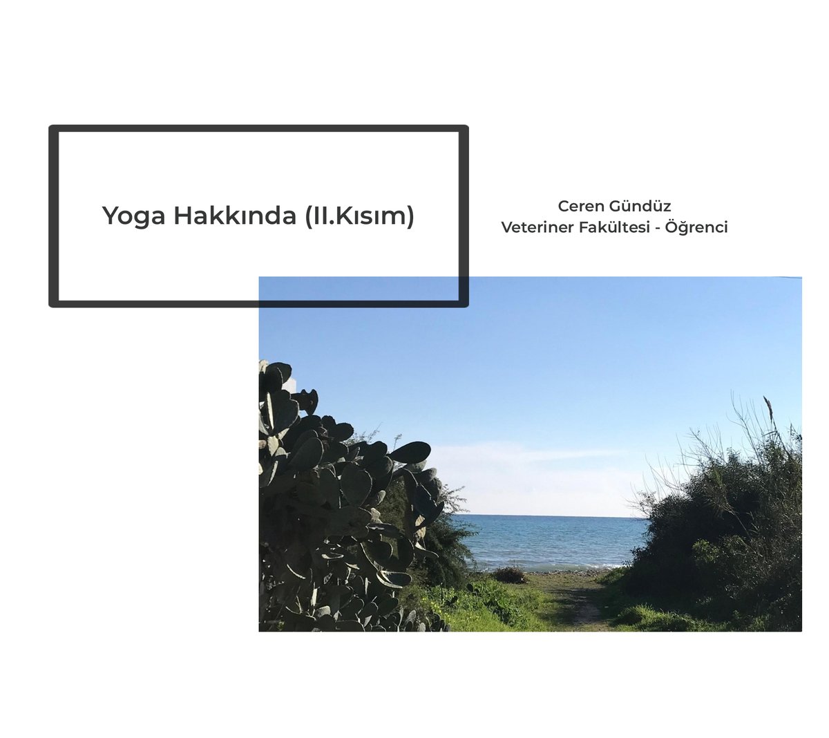 MedyaCuvali's tweet photo. Yoga Hakkında

https://t.co/4kYwA18xmI https://t.co/OlmvouJGjQ