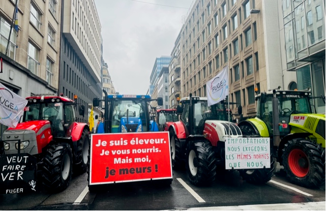 AndreaCepova's tweet image. Incredible images from #EU area in Brussels this morning. #Farmer&apos;s protests intensify as
EU agriculture ministers prepare some small fixes under pressure of the street. Much more needs to be done to heal the EU agriculture sector and calm the anger.
#EUreform #CAP #Greendeal