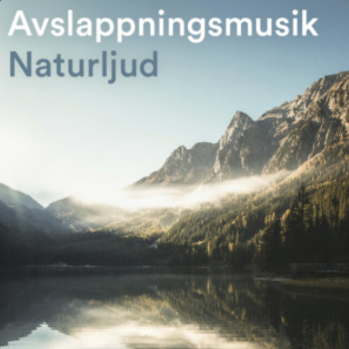 #AMBIENT #PLAYLIST OF THE DAY

AVSLAPPNINGSMUSIK
tinyurl.com/3bjabjjr

Also recommended:
MINDFUL MUSIC & NATURE SOUNDS
tinyurl.com/22hthvwe

THX4 ADDING
Metric System 1981
tinyurl.com/d65tz2dx

#spotify #spotifyforartists #centerofattention #metricsystem1981 #salonblanc