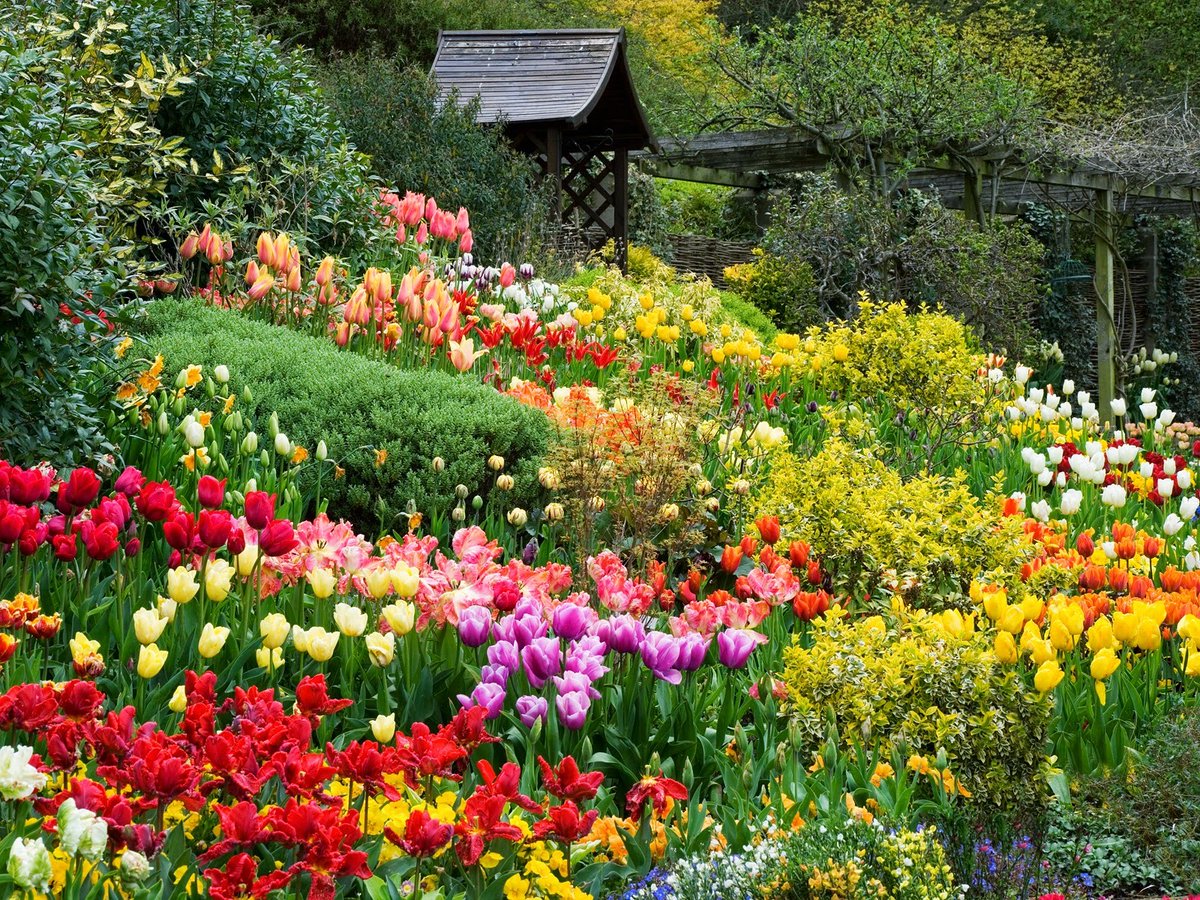 DISCOVER
The ecstatically beautiful flower garden is a must-check-in in Da Lat
Located right in the heart of the dreamy city, the flower garden is one of the familiar check-in locations for many tourists. Here, more than 300 of the country's rarest flower species gather.