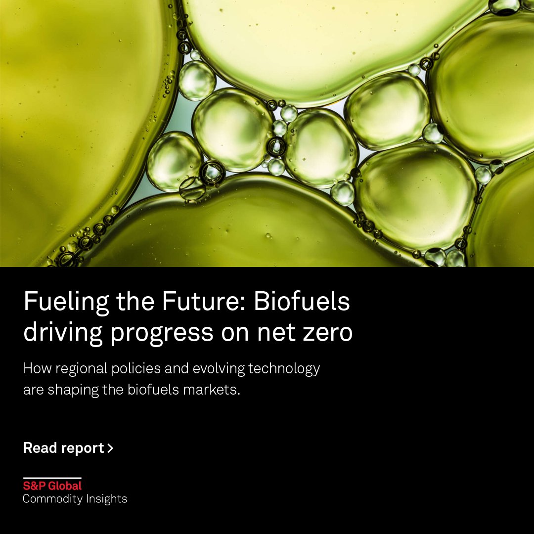 🍃#Biofuels feedstocks, production pathways, and policies are evolving rapidly. Our new report for #LEF2024 looks at factors shaping the market, regional infrastructure, and supply and demand outlooks for the coming years.

okt.to/wLODmf

#energytransition