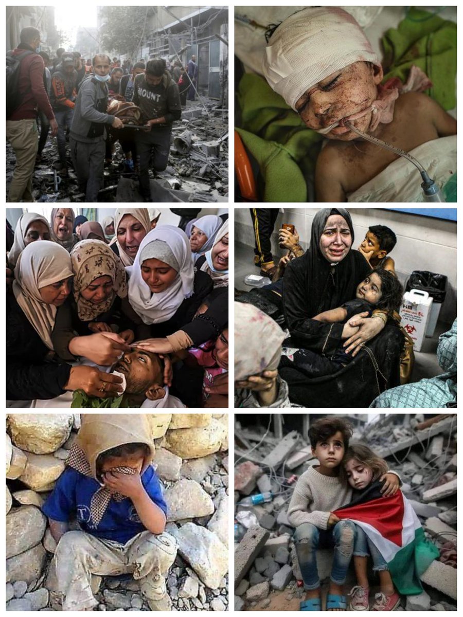🔔Hay que parar esta carnicería, hay que parar esta brutalidad atroz...

⚫⚪🟢Palestina necesita de nuestro apoyo...es injusto negarle a un pueblo el derecho a la vida...

#FreePalestine
#DeZurdaTeam