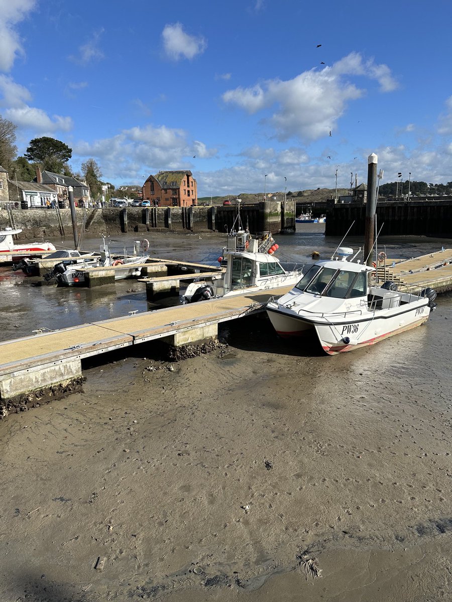 Harbour drain down days today and tomorrow #padstow#harbour#whiffy