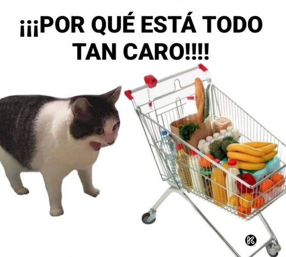 kansaita_'s tweet photo. yo cada vez que voy a comprar algo https://t.co/F35Fw1XxDu