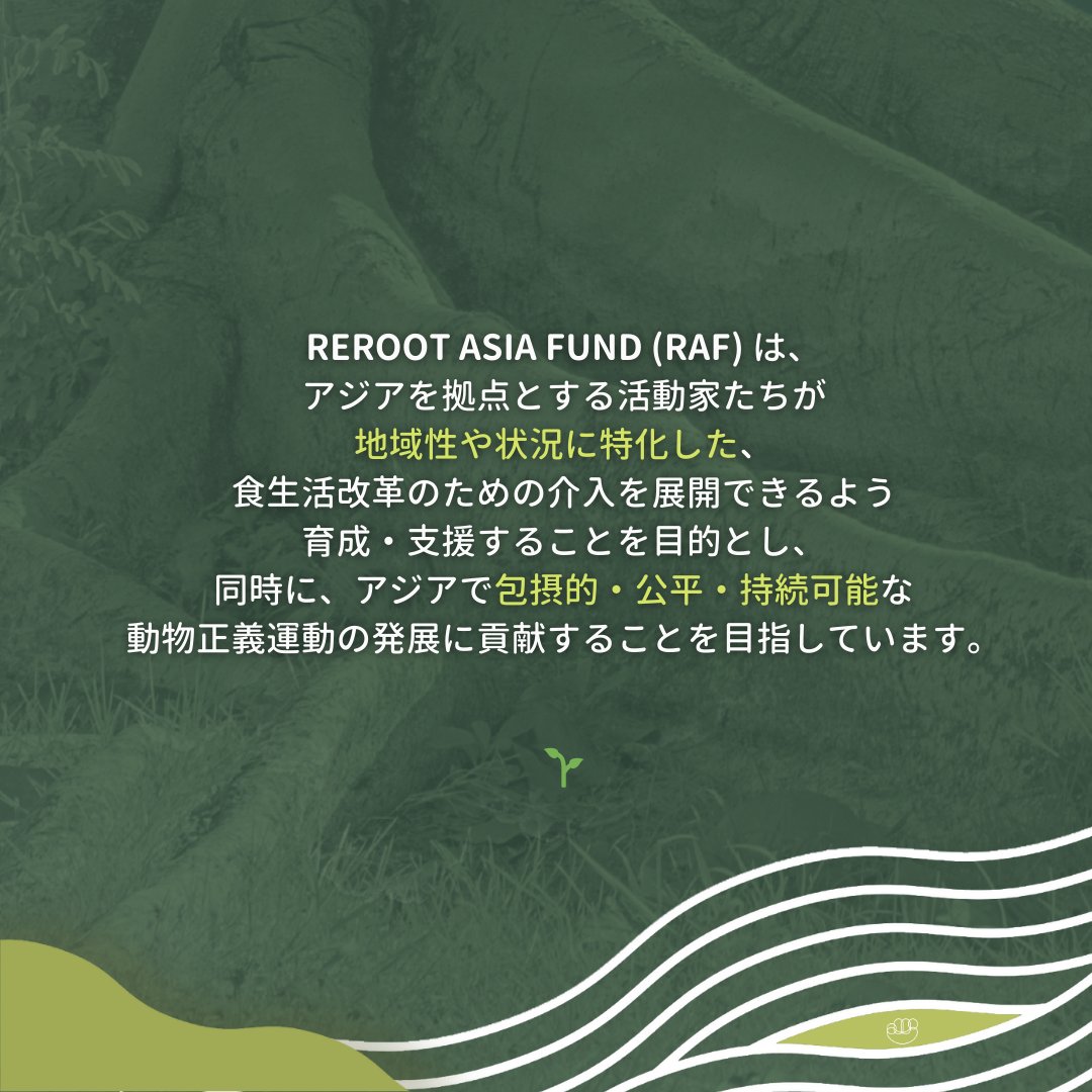 日本で菜食を普及するための企画案はありませんか？🌱
@animal_al_asia の Reroot Asia Fund はそんな取り組みの資金を提供します！
助成金に加え、僕たちAAAチームが全段階で皆さんをサポートいたします
応募お待ちしています！
締切は3/17 — 詳しくは 👇animalallianceasia.org/rerootasia をご覧ください！