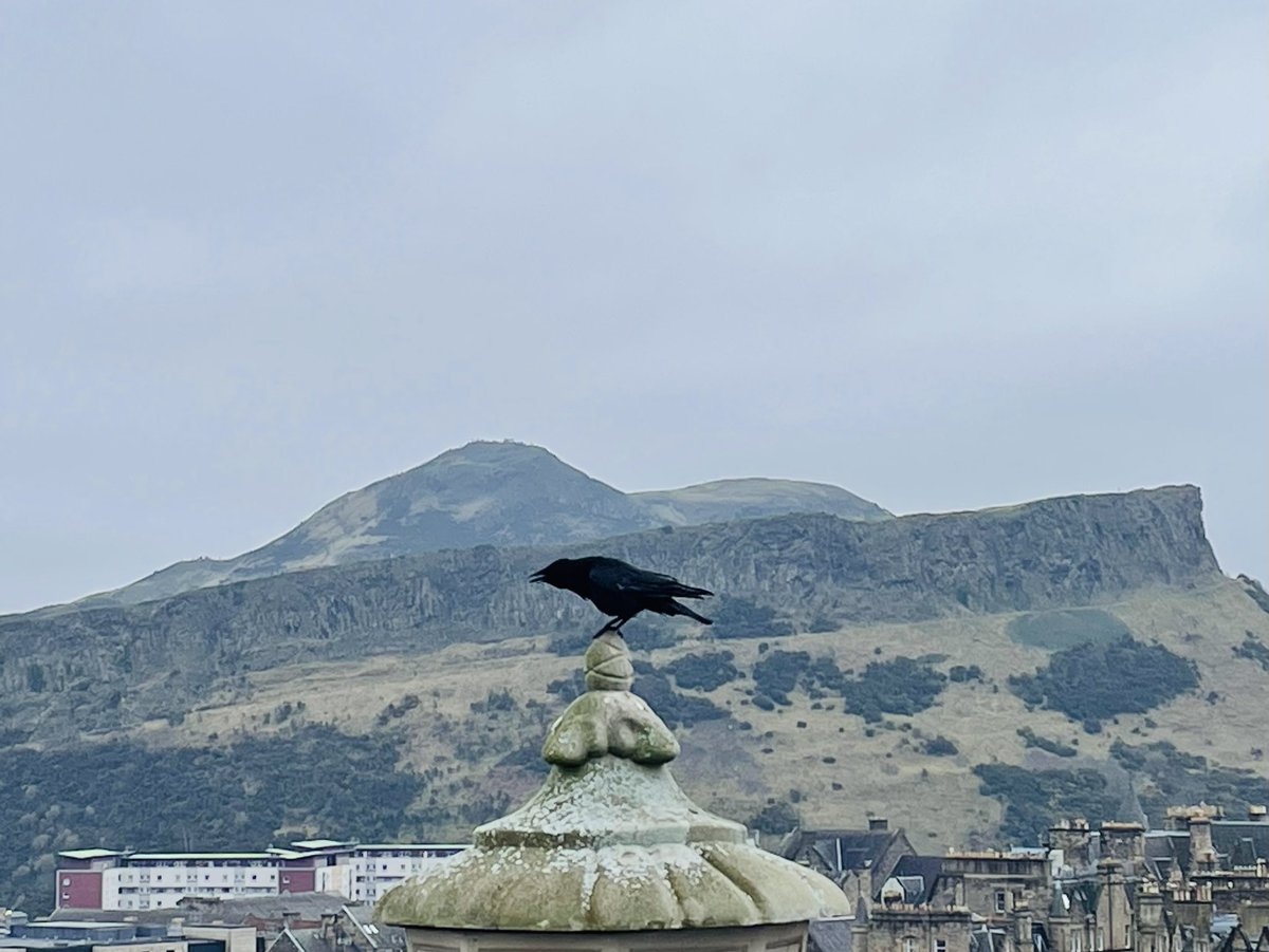 Something to crow about: Edinburgh, the day after #AsOne