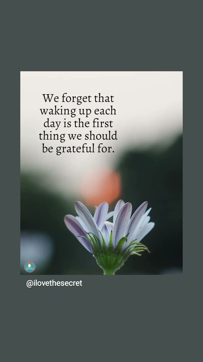 We should always be greatful. 🙏🏽
#greatful #alive