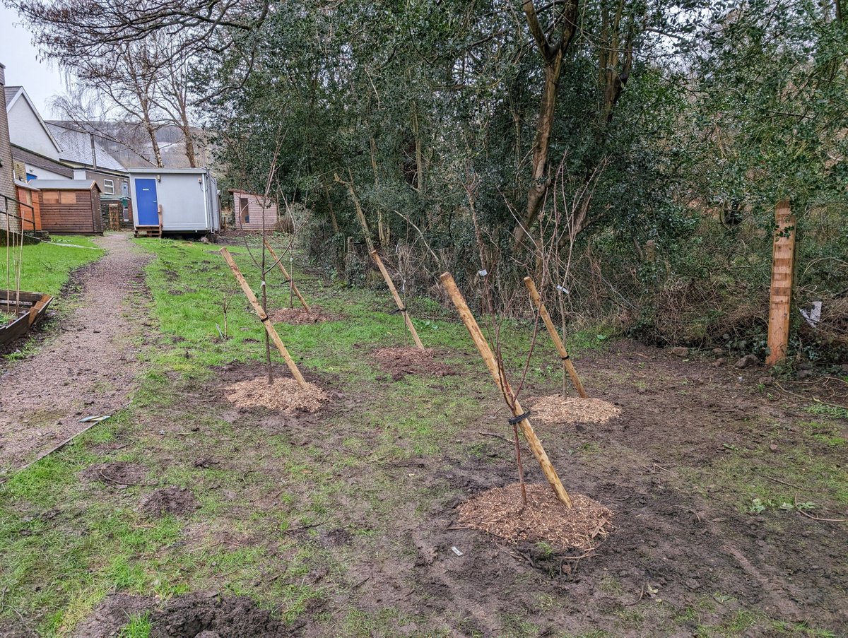 We had a lovely morning on Friday planting 5 orchard trees with the volunteers at @AbleDayCentre!🌳