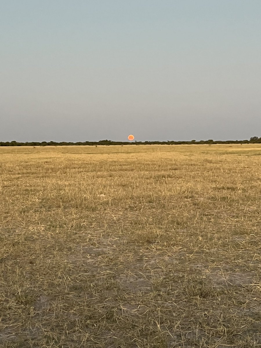 I fail to put into words the situation ko morakeng this past weekend. We are facing a potential catastrophe in Makgadikgadi communal lands. Boreholes are drying up & entire cattle herds are roaming from one cattle post to another in search of water. I have never seen this before!