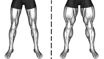 5 Best Exercises for big stronger legs (No Equipment)
