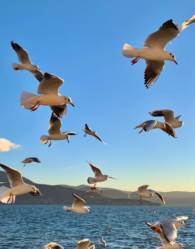 You will be very happy in the beautiful heaven💔💔...