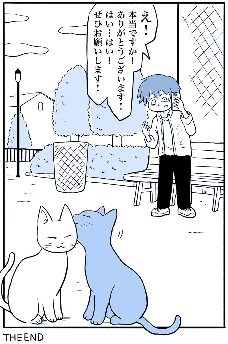 (5/5) 