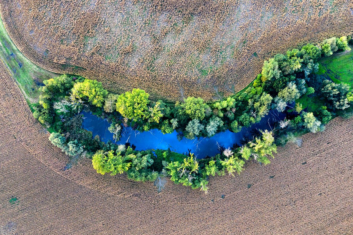 📷🌿Last call for the 'European Wildlife Photographer of the Year 2024', one of the most prestigious #NaturePhotography competitions worldwide. You also have a chance to compete for the @RewildingEurope Award!🐎 👉bit.ly/WildlifePhotoC… 📷Peter Fodor Photography