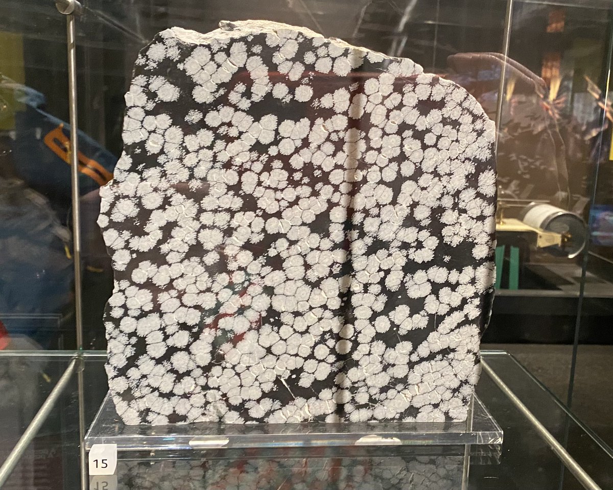 andersonmineral's tweet photo. The snowflakes in snowflake obsidian are the mineral cristobalite that forms as radiating crystal clusters called spherulites. #MineralMonday #VolcanoMonday #GeoscienceTwitter https://t.co/vYr20P4z42