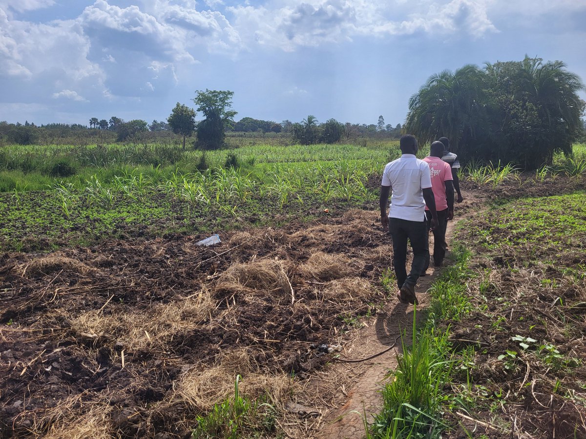 This month YOLRED went to visit youth in different districts to identify new beneficiaries.
We met committed young adults who are trying to make ends meet and struggle to take care of their families. 
Thanks @EireneSuisse for allowing us to support them!
