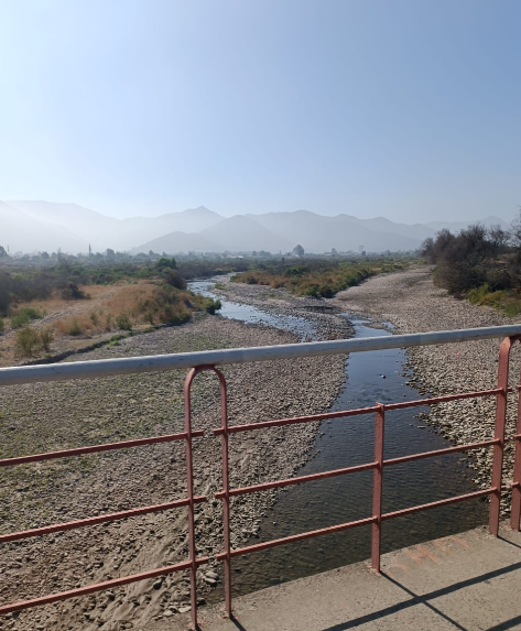 El río Aconcagua está en tramos secos y en otros con aguas estancadas en una sección de a lo menos 10 km (Romeral-La Calera).
La flora y la fauna acuática desaparecen a vista y paciencia de nuestras autoridades.
Esto es un #Ecocidio