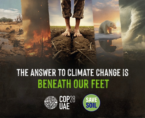 Reallocate funds to incentive-driven farming, tree-based agriculture, and soil-friendly tech. #SaveSoil is an action plan for Climate justice! @IFAD @UNClimateSummit #soilforclimateaction #SaveSoil #SaveSoilFixClimateChange