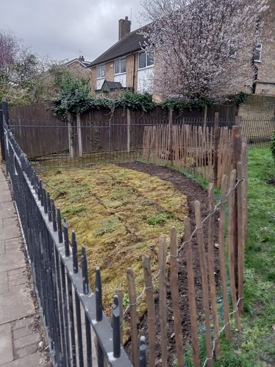 Thank you to the volunteers All Saints Church, Tooting @allsaintssw17 who worked with us to plant wildflower turf and sow wildflower seeds last week to improve and connect local habitats for pollinators. 📸