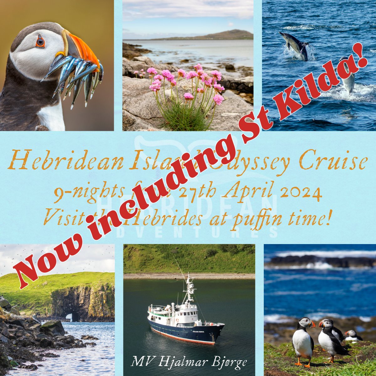 *Cruise Update* - We have now added St Kilda to the itinerary for our Hebridean Island Odyssey cruise at end of April - places going fast so please book now and don't miss out! hebrideanadventures.co.uk/products/hebri…  #stkilda #cruise