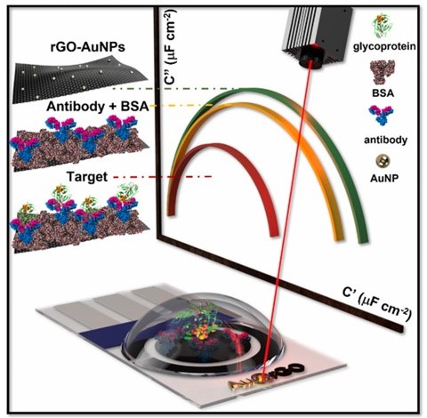 icn2nano's tweet image. 🚀 BREAKING NEWS

🔬 Leader of @merkoci_group, @ArbenMerkoci &amp;amp; Ruslán Alvarez coauthored a study boosting substance detection via modified #electrodes. Using #laser tech, they achieve rapid, precise modifications for accurate #biosensing.

🔗 The paper 👉 sciencedirect.com/science/articl…