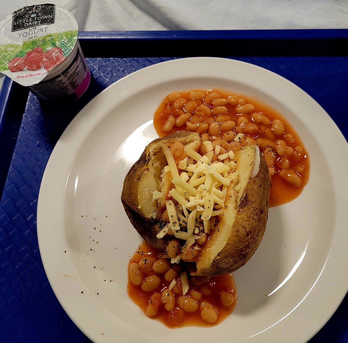 Sam Whyte tweet media