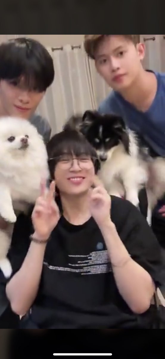 dinosaurrrhome's tweet photo. Wait wait wait help me!!!
the same place and the same puppy???????
Look at the curtain in the back and the puppy!!! Is it what I think it is???
#SailubPon #Spy_ #PonThanapon https://t.co/DfLpRWLpVF