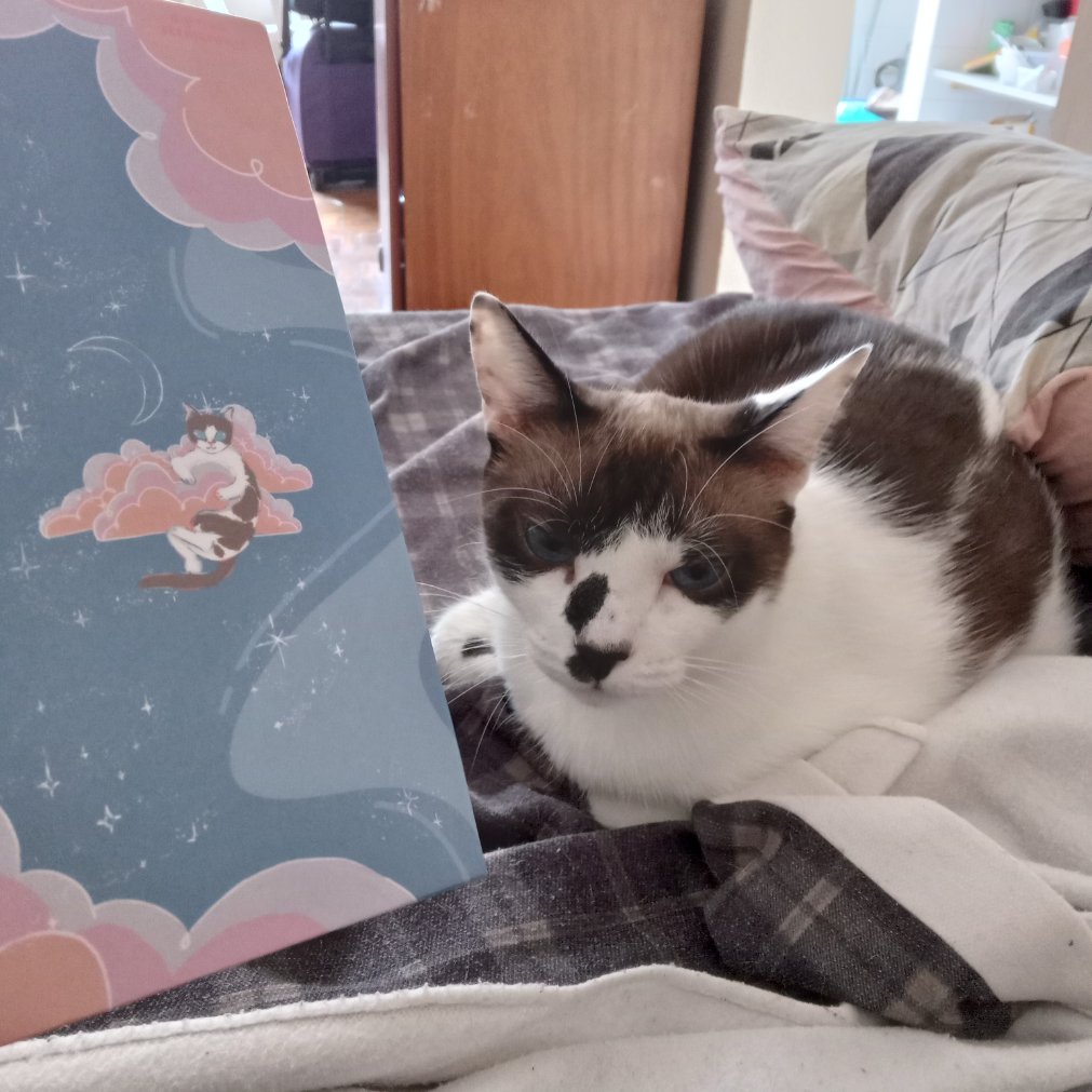 Divulgação de parceiros 🎉

🐾 @UpdateFifty <a href="/ImJiyeonBR/">Yuki Brasil</a> <a href="/centralbndbr/">CBNDBR! 💜 | HOW?</a> <a href="/IDOLLABRASIL/">Dolla Brasil</a> <a href="/KNews_Brasil/">K-NEWS BRASIL</a> <a href="/PharitaBrasil/">PHARITA BRASIL 🦌</a> <a href="/SuporteWoodzBRA/">Suporte Woodz Brasil : Archive. 1</a> <a href="/PortalDAY6BR/">Portal DAY6 Brasil</a> <a href="/TWCSanaBR/">SANA (NO) BRASIL -『Masterpiece』</a> @QueenzEyeBrazil <a href="/wonyoungbrazil/">WONYOUNG BRAZIL 🎂</a> <a href="/arin_br/">ARIN Brasil - Fechado</a> <a href="/NEWJEANSBR/">NEWJEANS BRASIL</a> <a href="/kpoptop_pod/">K-Pop Top 🎧 pela vizinhança</a> <a href="/jihyebrasil/">͏Seo Jihye Brasil 💜</a> 

📸 Joon (aniversariante do dia 🎂)