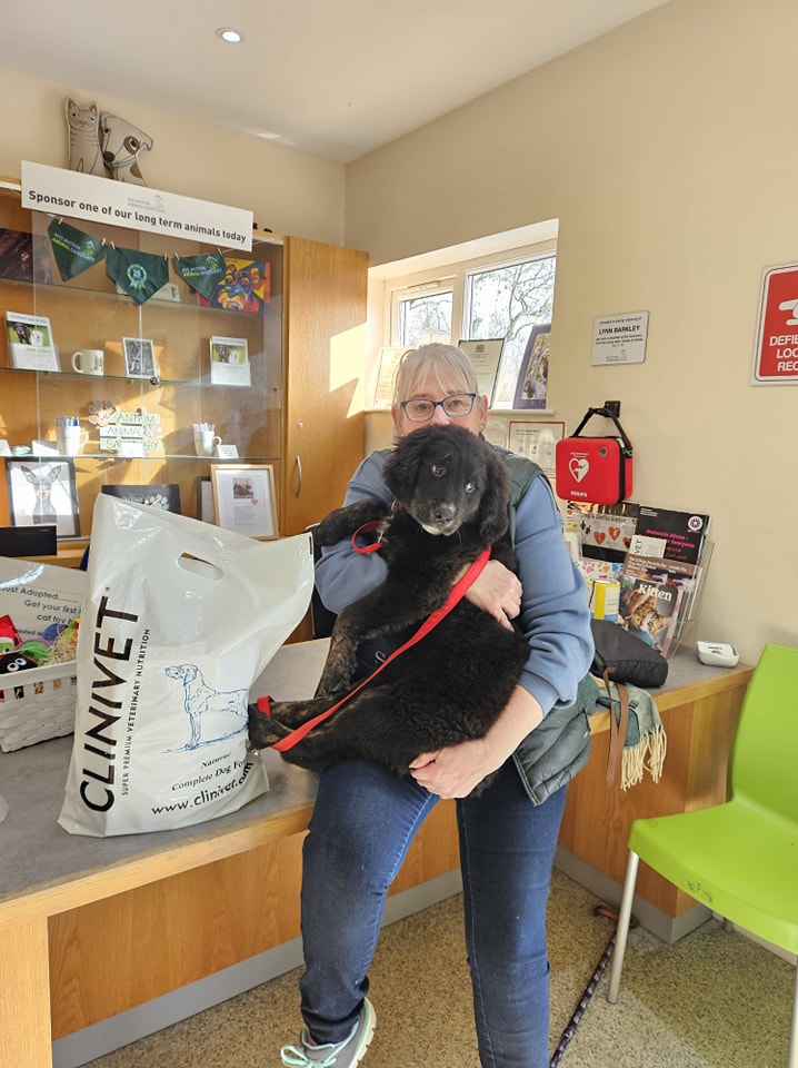 Clinivet Super Premium Nutrition tweet media