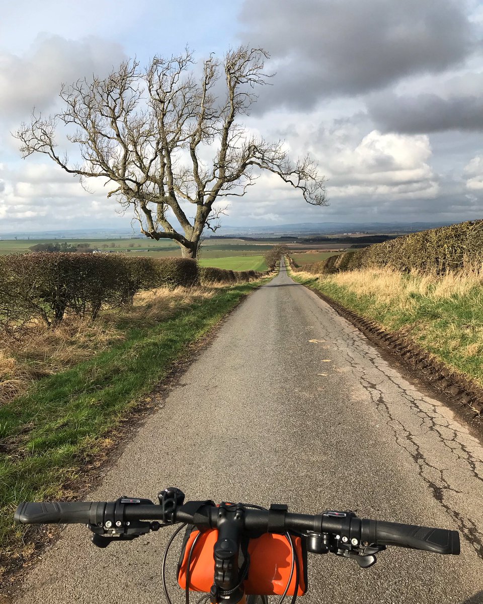 From todays walk in the hills above Hownam & from yesterdays bike ride on local lanes. Both days dry, a bit of sun but a chilly north-easterly airstream. #ScottishBorders