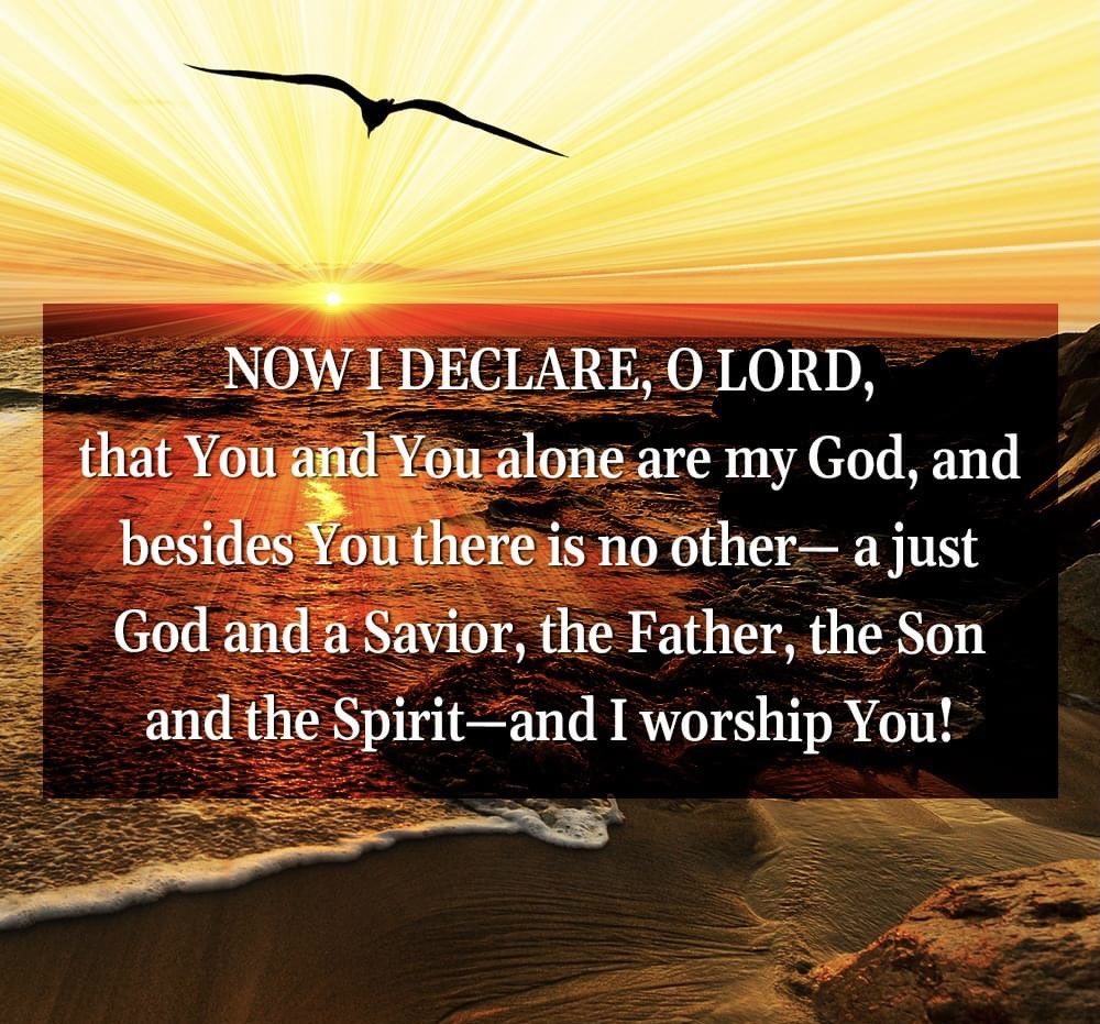 Warriortotruth's tweet image. NOW I DECLARE, O LORD, that You and You alone are my God, and besides You there is no other—a just God and a Savior, the Father, the Son and the Spirit—and I worship You! #Proclamation