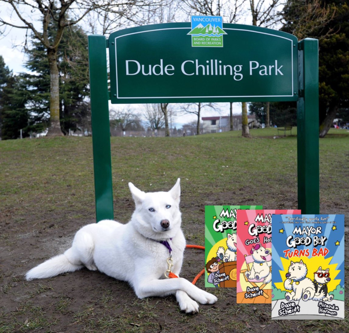 9 out of 10 physicians recommended chillin’ and hanging out and reading the MAYOR GOOD BOY series (available at your local bookseller and comic shop and online) by @MirandaMHarmon and I. That other doctor is a narc. #kidlit #mayorgoodboy #dogs