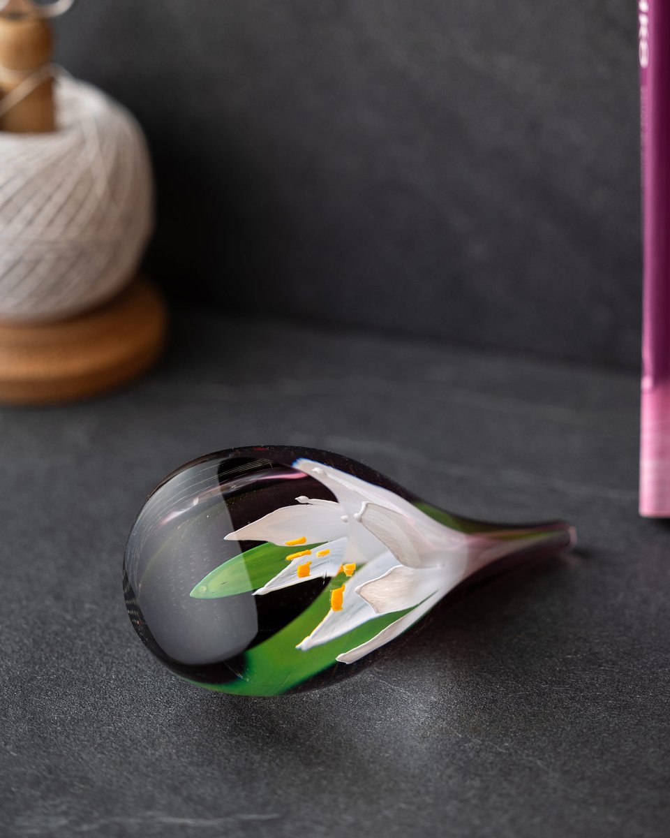 Handcrafted in Sctoland, this Caithness Glass paperweight features a delicate white flower set inside a glass cornucopia.

bit.ly/49NrDn9

#handcrafted #caithness #paperweight #glasswork #artglass #madeinscotland