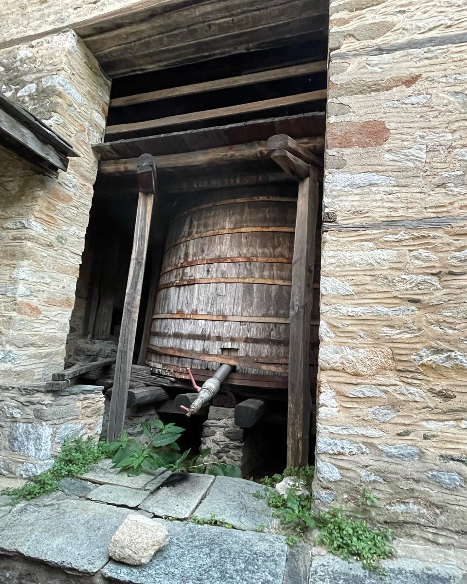 m_athanasios's tweet image. Лаврская бочка для винного сусла. Две фуры винограда в неё перемалывают.