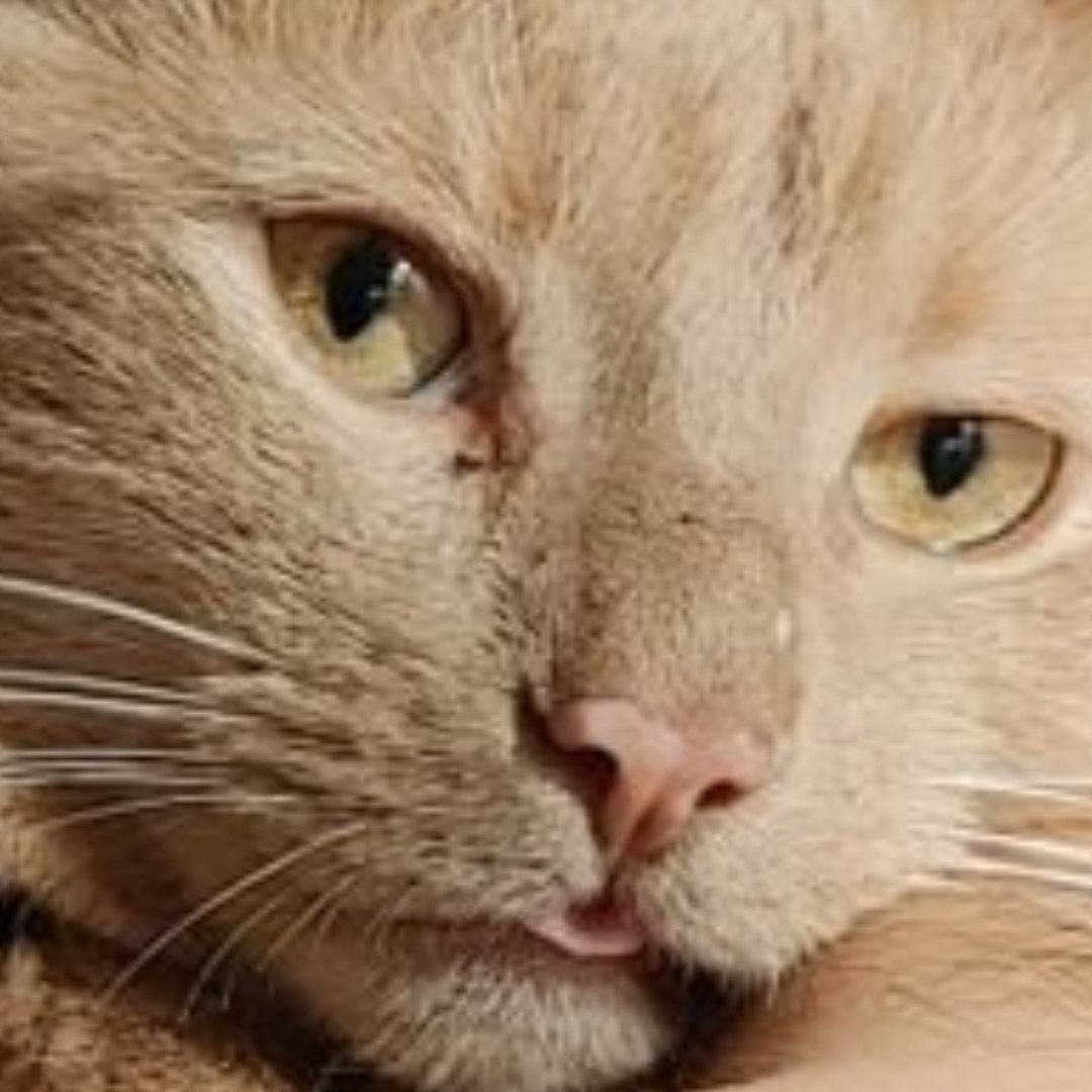 cryptotbk's tweet image. #NewProfilePic