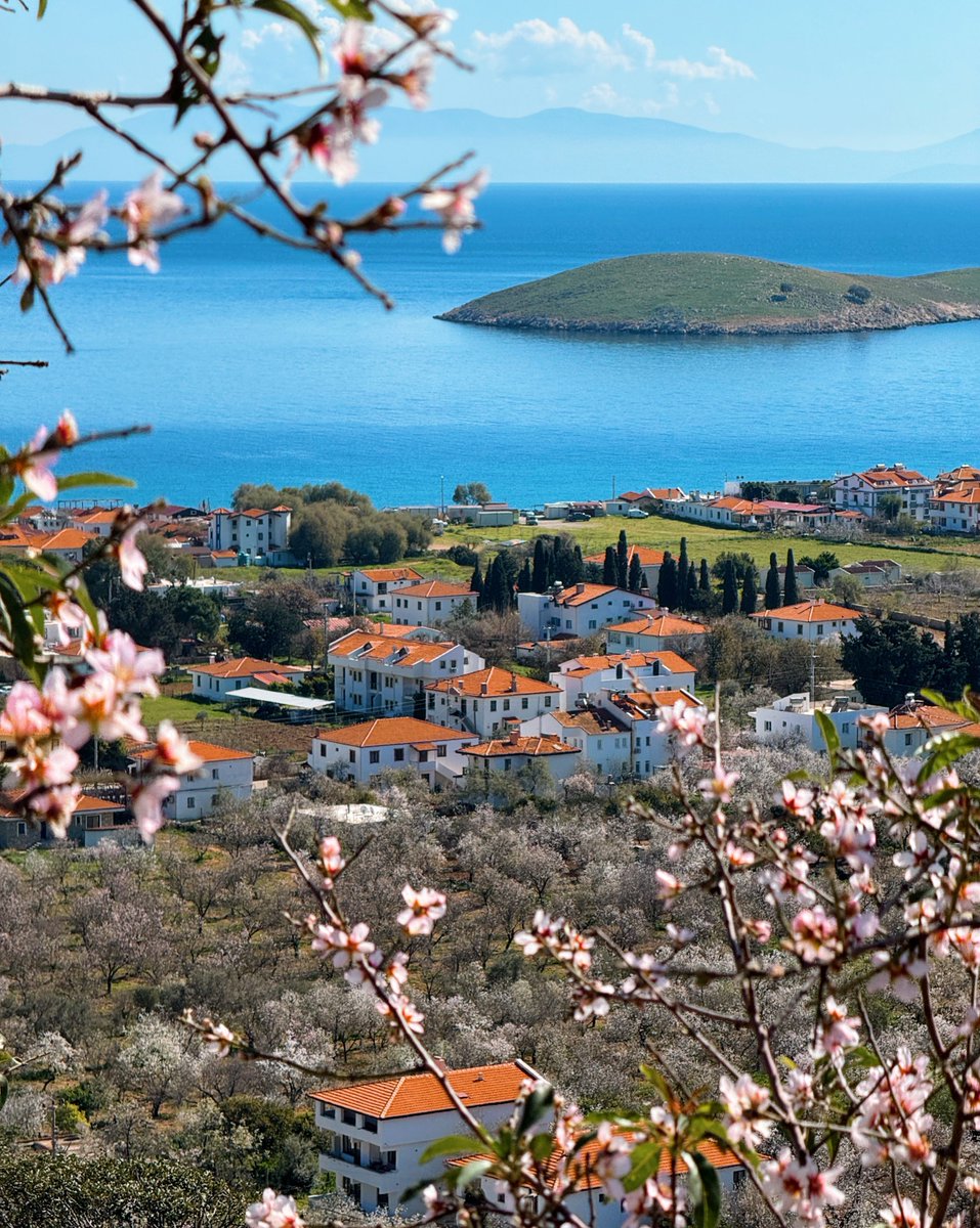 mucahitmuglu's tweet photo. Tepeden çektiğim bir Datça Palamutbükü fotoğrafı.🌸 Badem çiçekleri her yeri süslüyor şu sıralar. https://t.co/LEYyjU8VUj