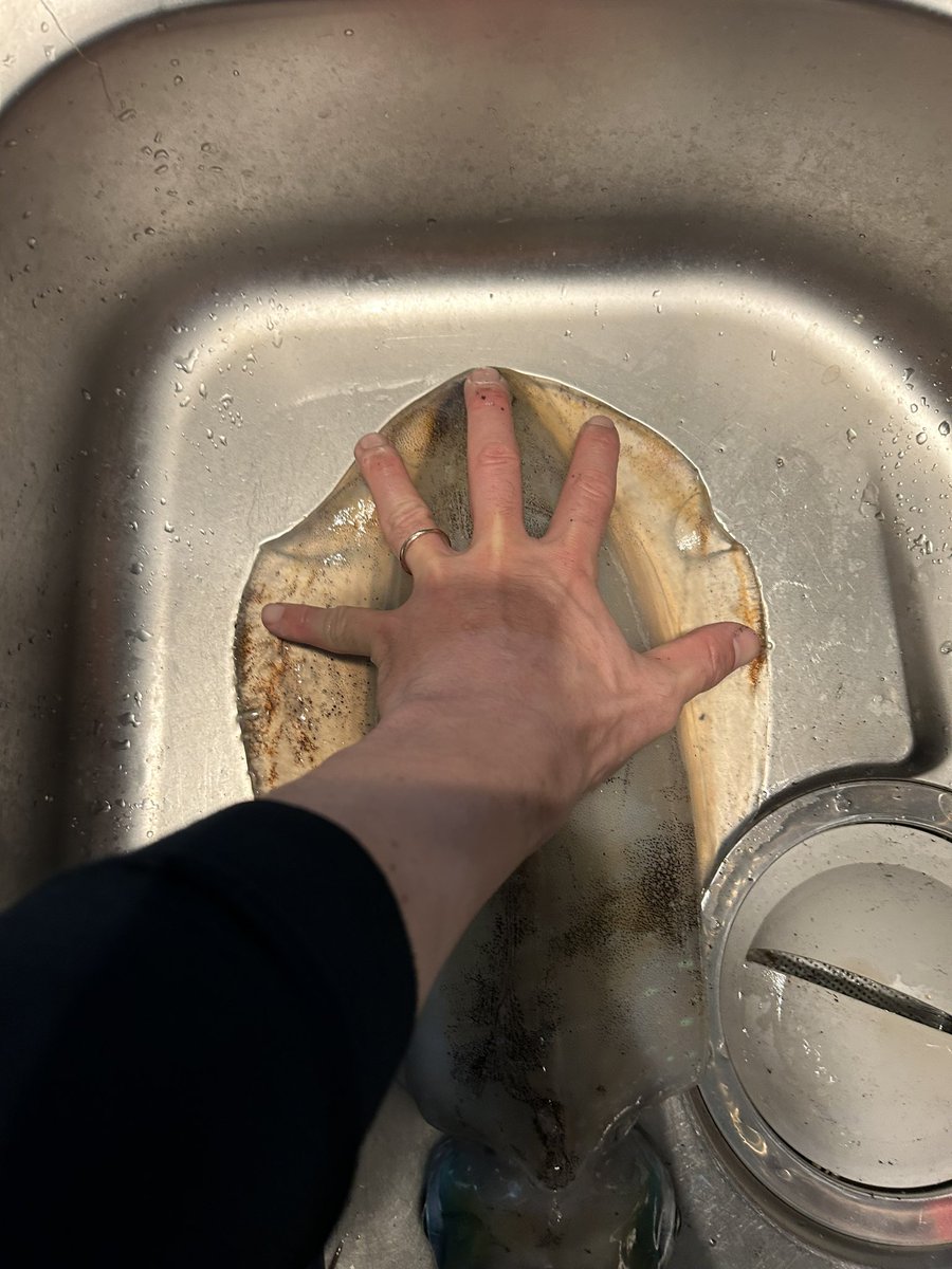 2投目でこれは震えました、、嬉しすぎる