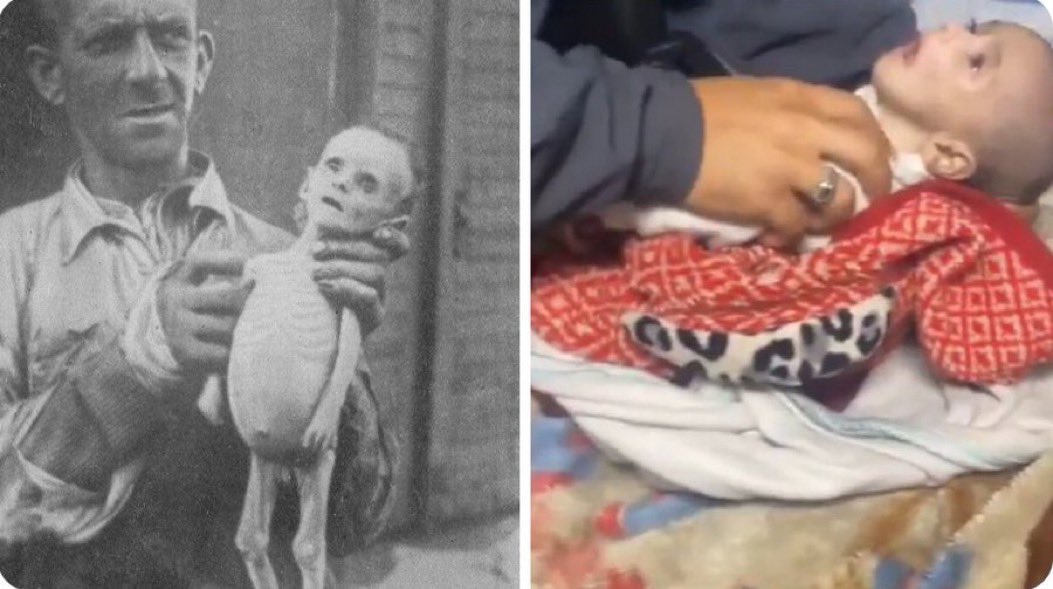 GERMANY 1942-1945              PALESTINE 2024