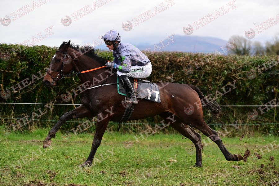 Pat Healy tweet media