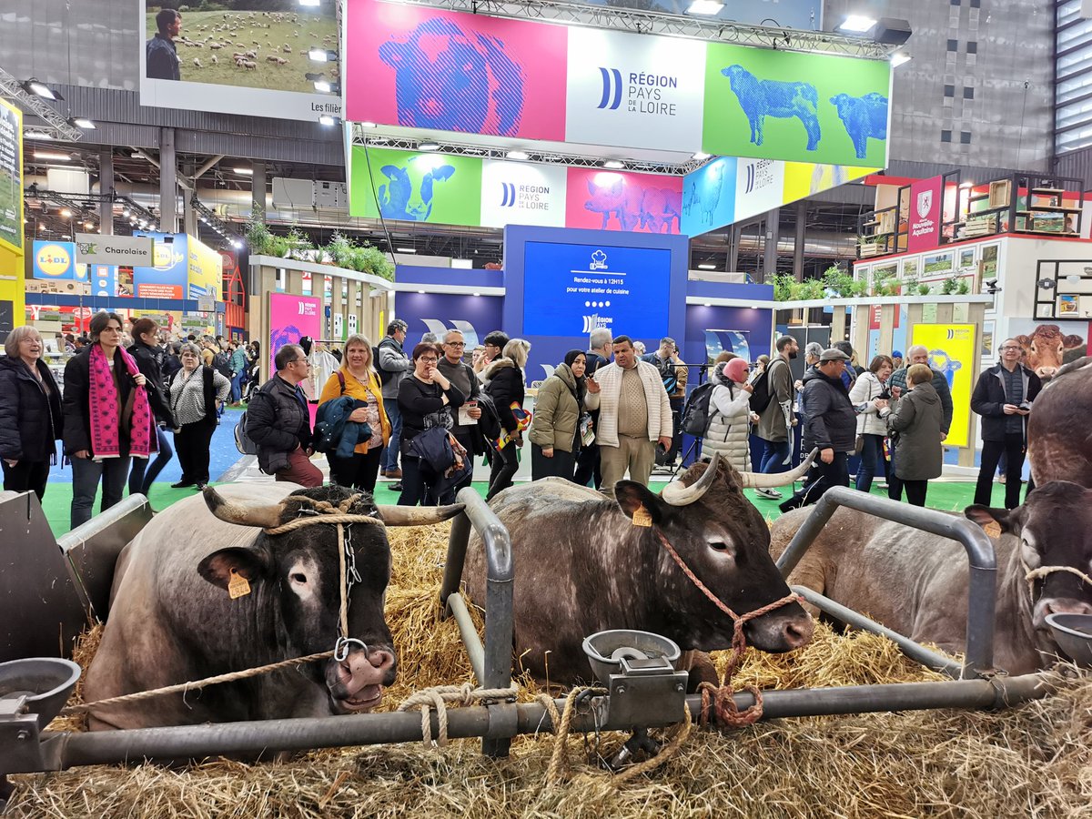 Après leur passage à Paris, retrouvez les plus beaux spécimens de l'élevage néo-aquitain au Salon de l'Agriculture à Bordeaux du 18 au 26 mai !

#AimeTonAgri #ParlonsagricultureNA #agriwebtv #sana2024