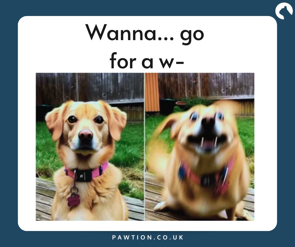 One million percent YES! 🐶😂

#pawtion #flufftrough #dogmeme #dog #meme #dogmemes  #doggo #dogs #memes #doggomeme  #funnydog #puppy #animalmemes #dogsdoingthings #dogsbeingbasic #animalmeme #doggomemes #funnydogs #memesdaily #funnymemes