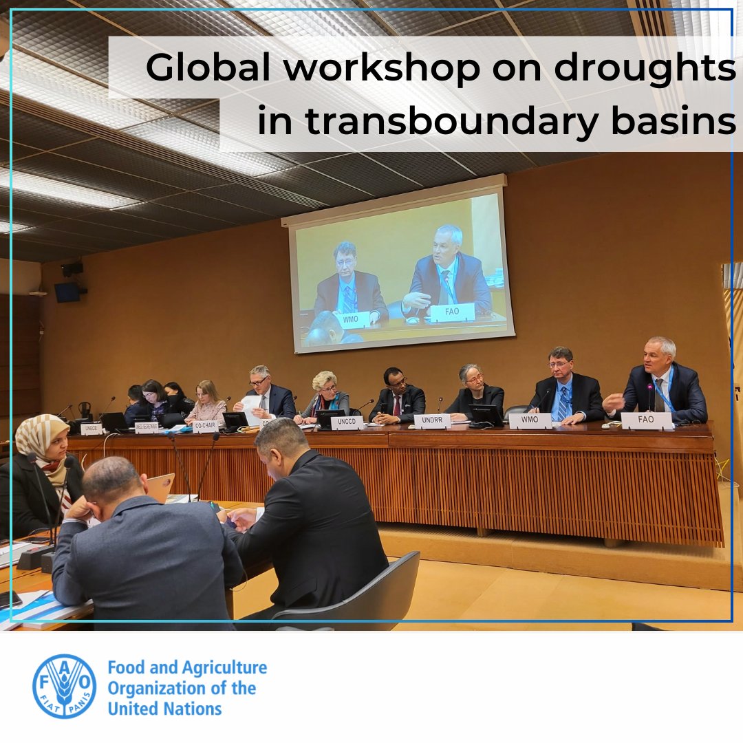 At the global workshop on #droughts in transboundary basins, @dburgeon highlighted @FAO initiatives, helping countries to better manage droughts. Initiatives include: ➡️Early warning info #ASIS ➡️ Anticipatory actions ➡️Disaster risk reduction ➡️Longer-term #resilience building