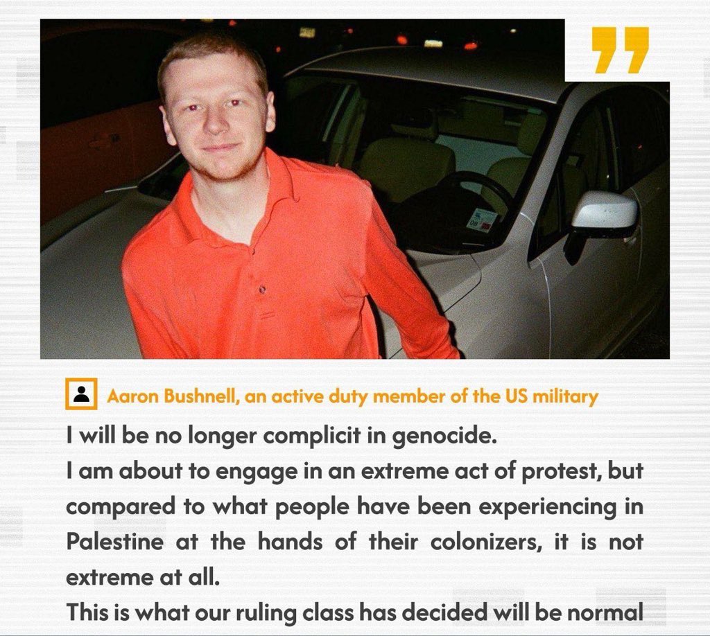 Reem Abou-El-Fadl tweet media