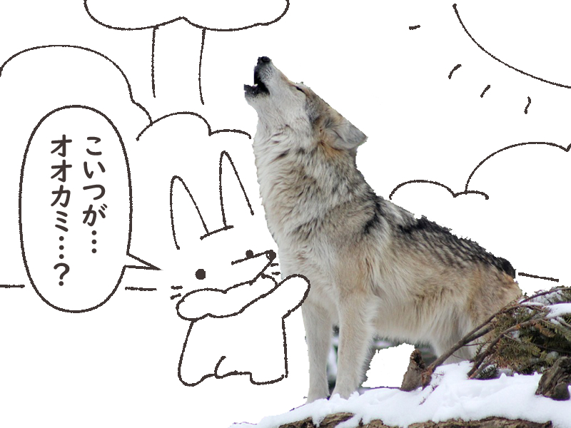 @heyyeahmoon この二足歩行の生き物たちは何なんだ… 