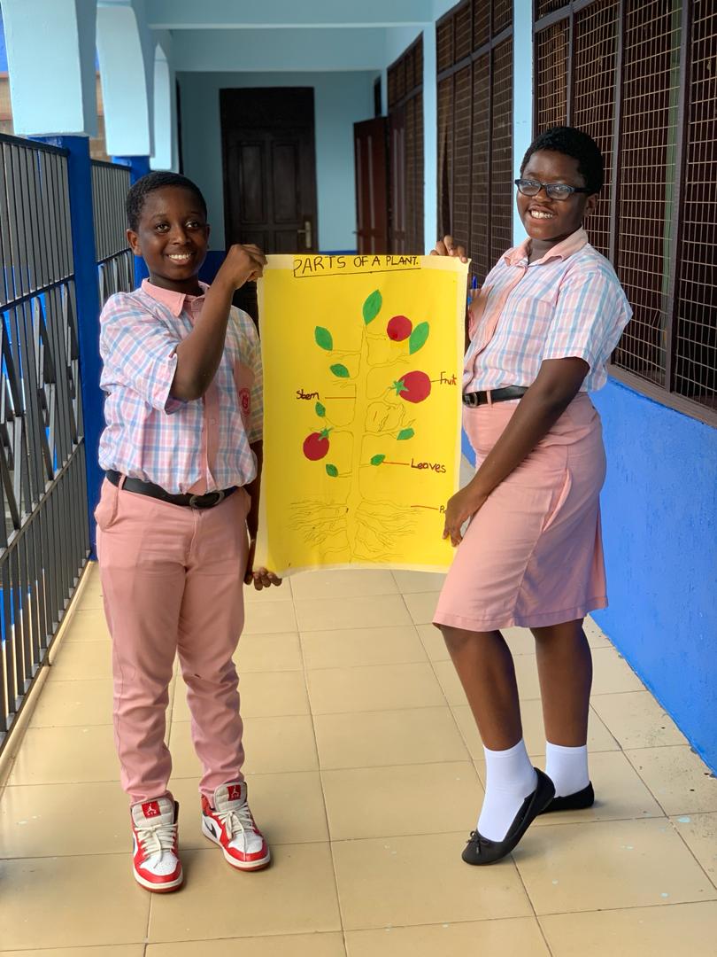 From sketching the beauty of botanical wonders to exploring them in the field, our students are on an amazing journey of plant discovery.  
Today, we took the first step in our 'Planting in a Bottle' project, fostering a love for nature that will grow with them.